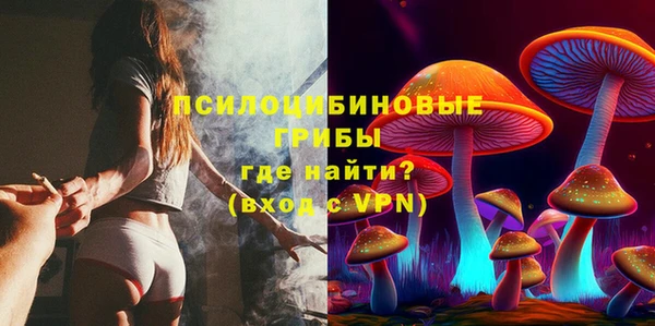 Альфа ПВП Лабытнанги