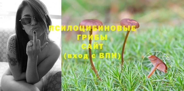 Альфа ПВП Лабытнанги