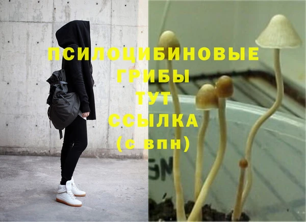 кристаллы Лагань