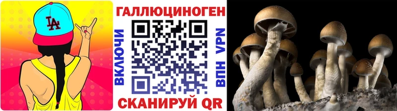 Галлюциногенные грибы прущие грибы  Купить  Арзамас 
